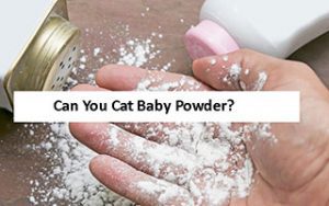 Can-You-Eat-Baby-Powder