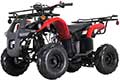 X-PRO-125cc-ATV